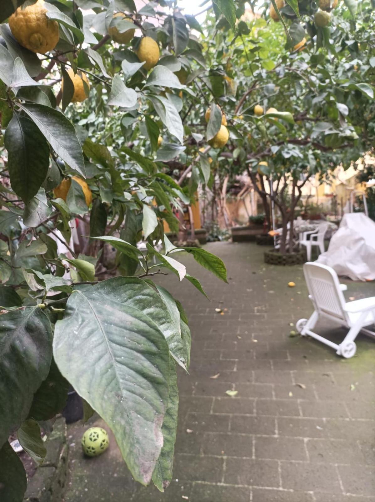 Il Giardino Nascosto Nápoles Exterior foto
